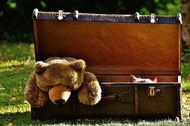 Social toys