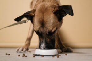 eating