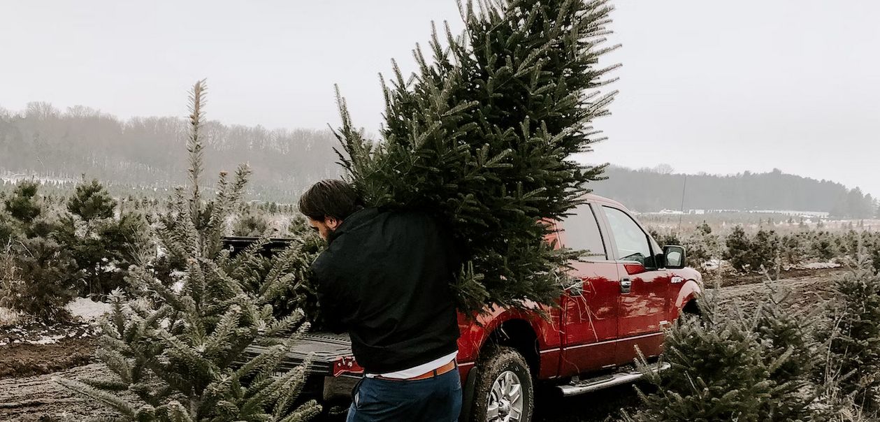 real tree